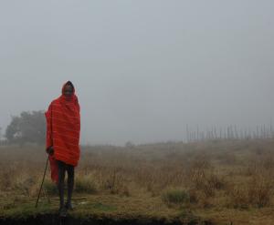 maasai herdsman in fog
