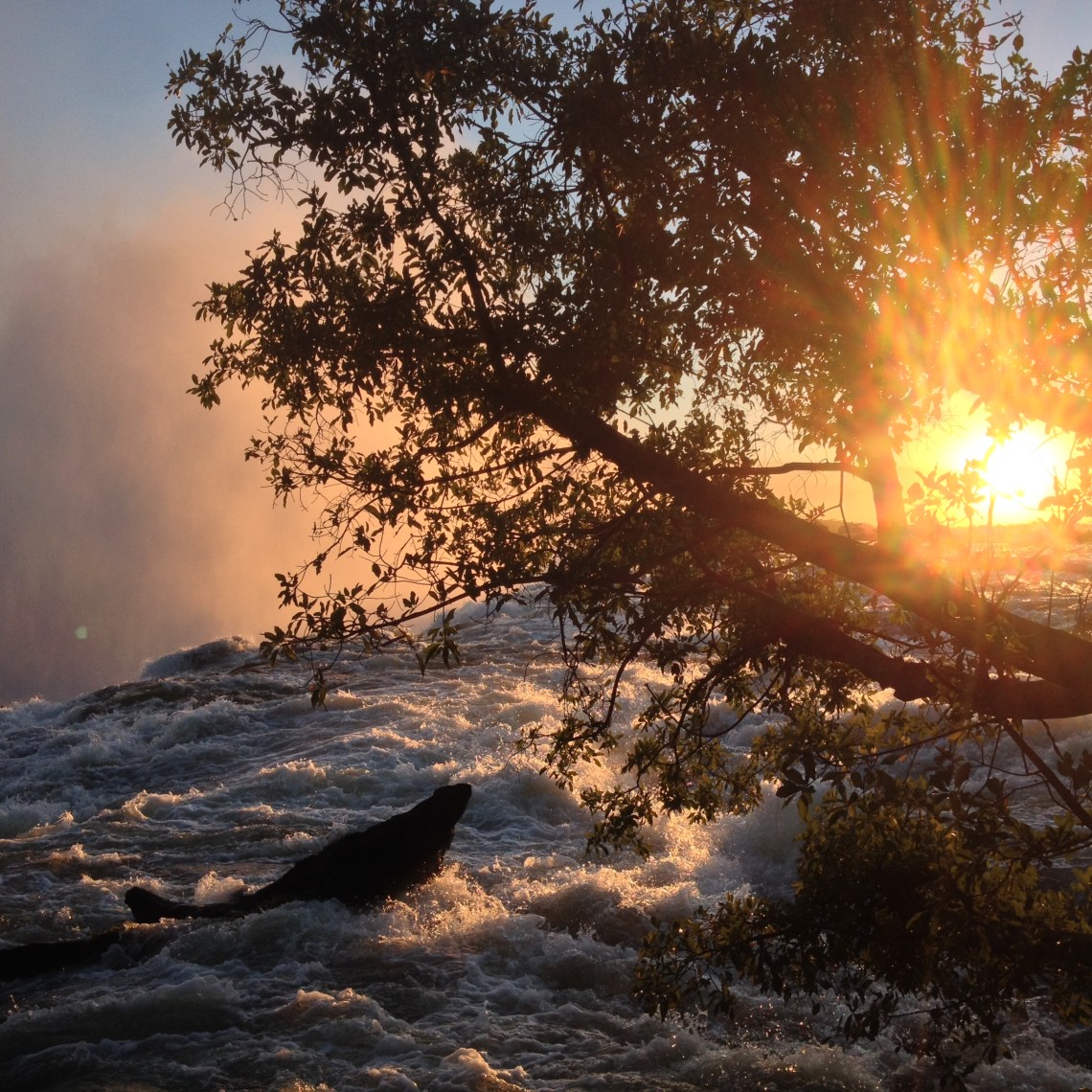 sunset at Victoria Falls